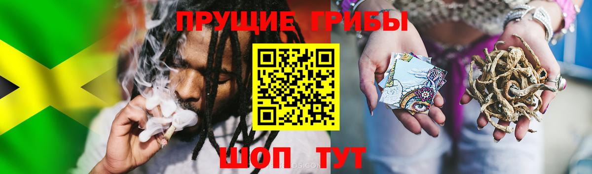 Псилоцибиновые грибы прущие грибы  Вход с VPN  Краснодар 